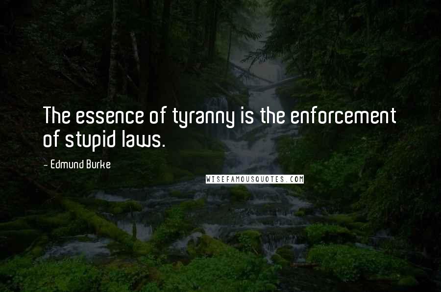 Edmund Burke Quotes: The essence of tyranny is the enforcement of stupid laws.