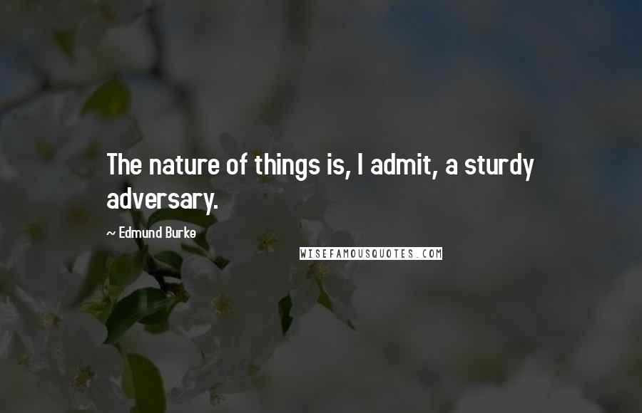 Edmund Burke Quotes: The nature of things is, I admit, a sturdy adversary.