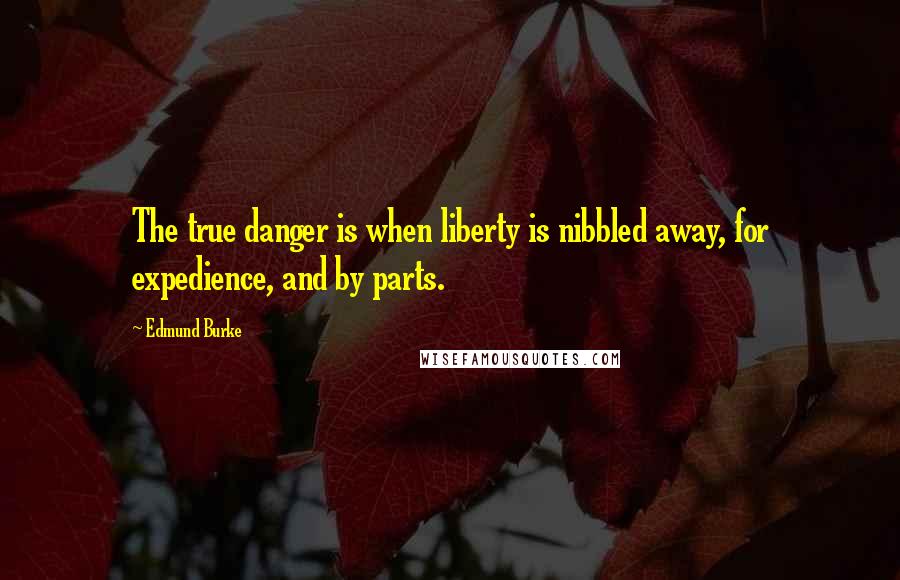 Edmund Burke Quotes: The true danger is when liberty is nibbled away, for expedience, and by parts.