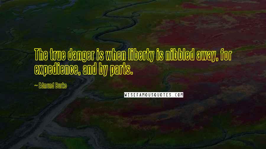 Edmund Burke Quotes: The true danger is when liberty is nibbled away, for expedience, and by parts.