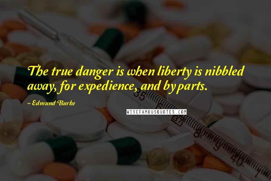 Edmund Burke Quotes: The true danger is when liberty is nibbled away, for expedience, and by parts.