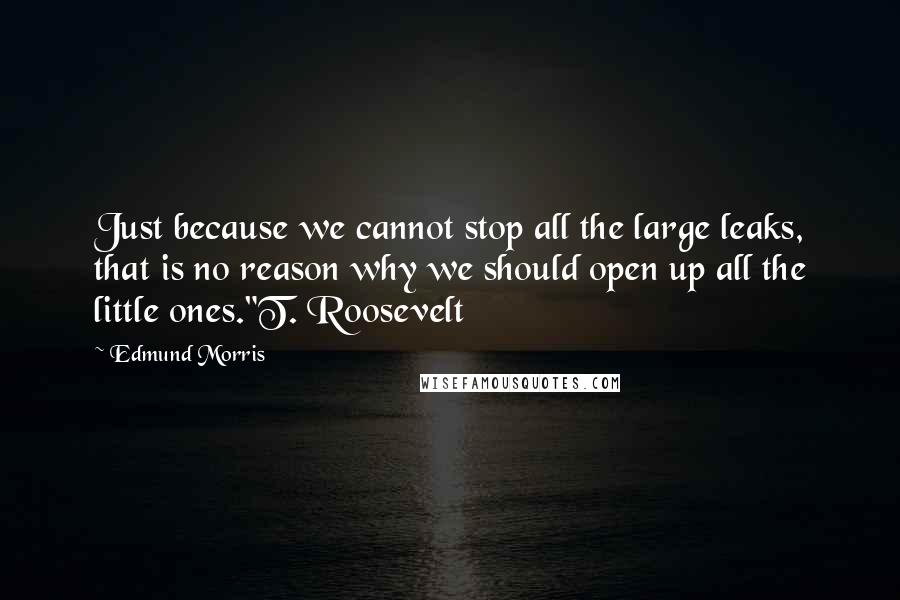 Edmund Morris Quotes: Just because we cannot stop all the large leaks, that is no reason why we should open up all the little ones."T. Roosevelt