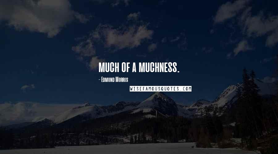 Edmund Morris Quotes: much of a muchness.