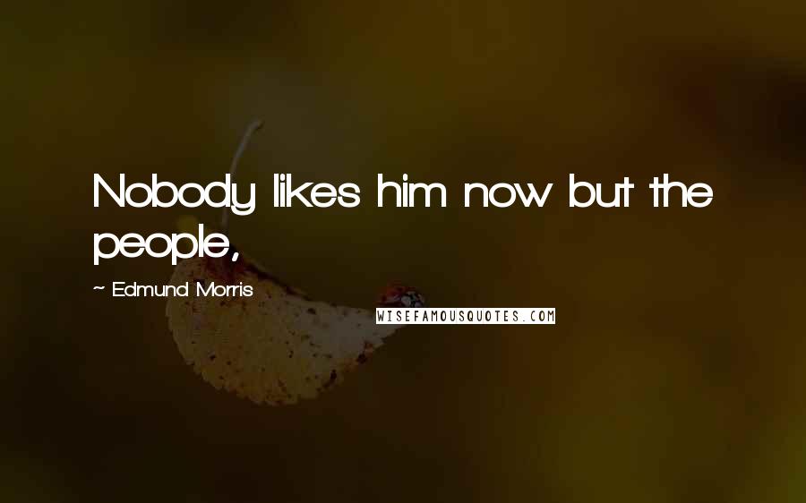 Edmund Morris Quotes: Nobody likes him now but the people,