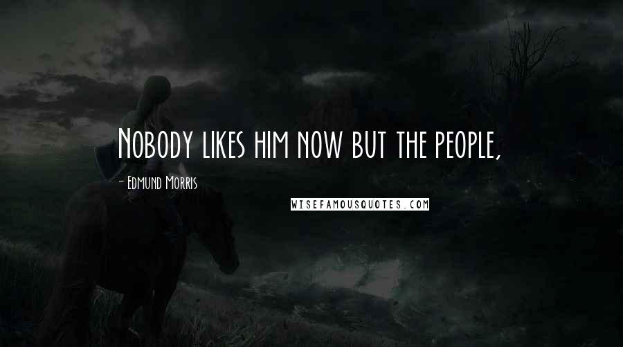 Edmund Morris Quotes: Nobody likes him now but the people,