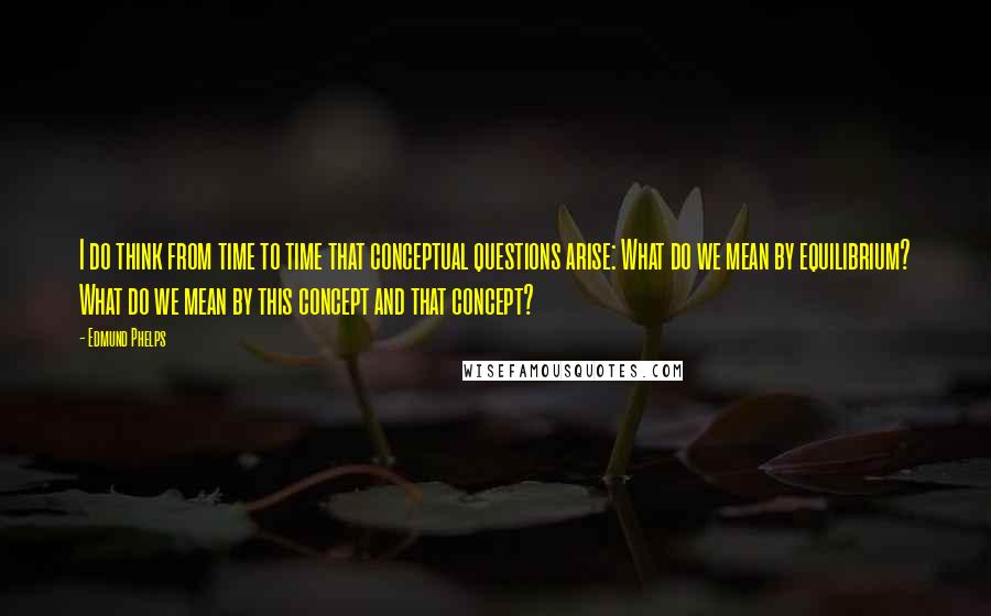 Edmund Phelps Quotes: I do think from time to time that conceptual questions arise: What do we mean by equilibrium? What do we mean by this concept and that concept?