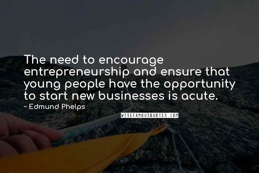 Edmund Phelps Quotes: The need to encourage entrepreneurship and ensure that young people have the opportunity to start new businesses is acute.