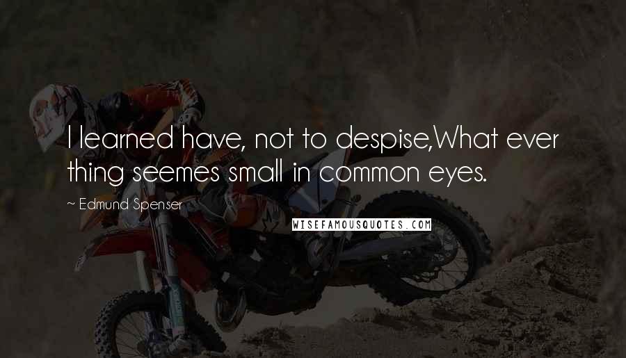 Edmund Spenser Quotes: I learned have, not to despise,What ever thing seemes small in common eyes.