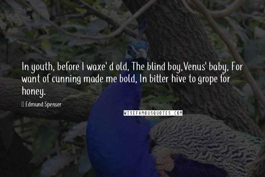 Edmund Spenser Quotes: In youth, before I waxe' d old, The blind boy,Venus' baby, For want of cunning made me bold, In bitter hive to grope for honey.