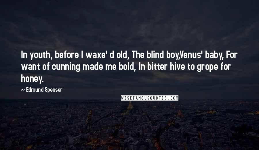 Edmund Spenser Quotes: In youth, before I waxe' d old, The blind boy,Venus' baby, For want of cunning made me bold, In bitter hive to grope for honey.