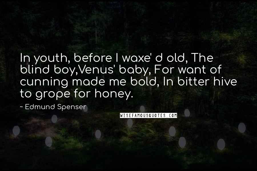 Edmund Spenser Quotes: In youth, before I waxe' d old, The blind boy,Venus' baby, For want of cunning made me bold, In bitter hive to grope for honey.