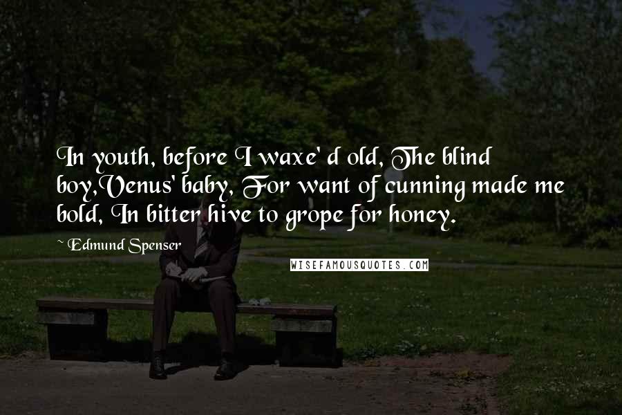 Edmund Spenser Quotes: In youth, before I waxe' d old, The blind boy,Venus' baby, For want of cunning made me bold, In bitter hive to grope for honey.