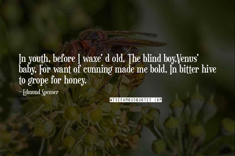 Edmund Spenser Quotes: In youth, before I waxe' d old, The blind boy,Venus' baby, For want of cunning made me bold, In bitter hive to grope for honey.