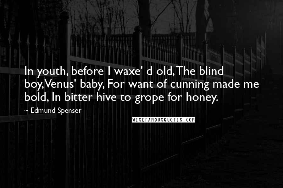 Edmund Spenser Quotes: In youth, before I waxe' d old, The blind boy,Venus' baby, For want of cunning made me bold, In bitter hive to grope for honey.