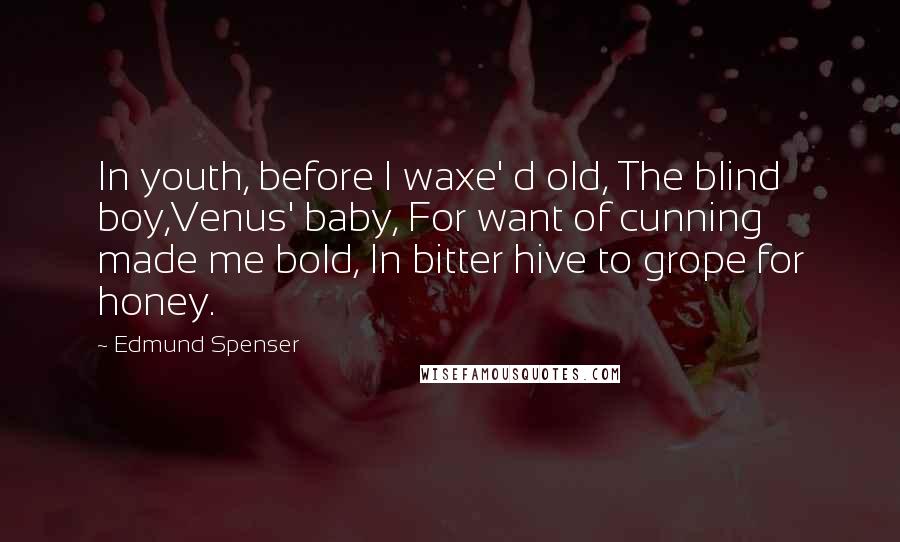 Edmund Spenser Quotes: In youth, before I waxe' d old, The blind boy,Venus' baby, For want of cunning made me bold, In bitter hive to grope for honey.