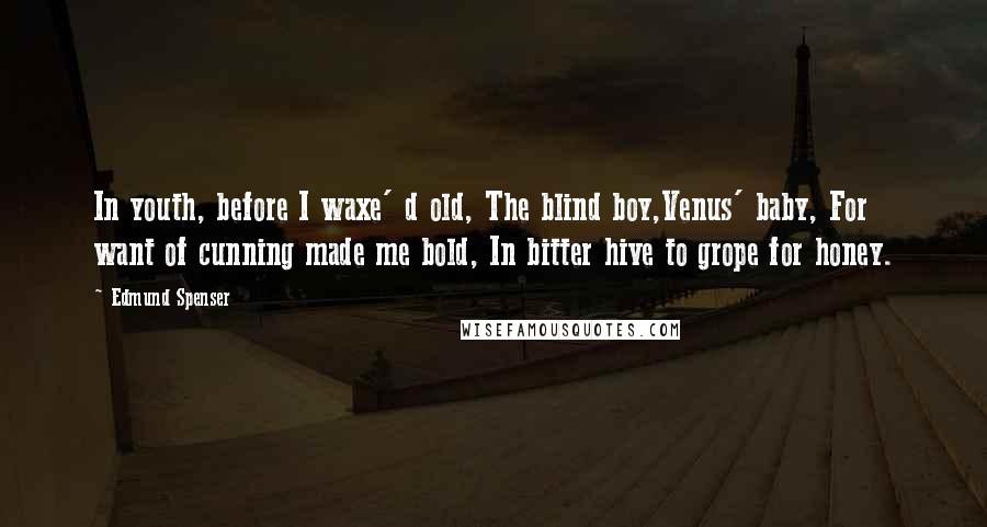 Edmund Spenser Quotes: In youth, before I waxe' d old, The blind boy,Venus' baby, For want of cunning made me bold, In bitter hive to grope for honey.