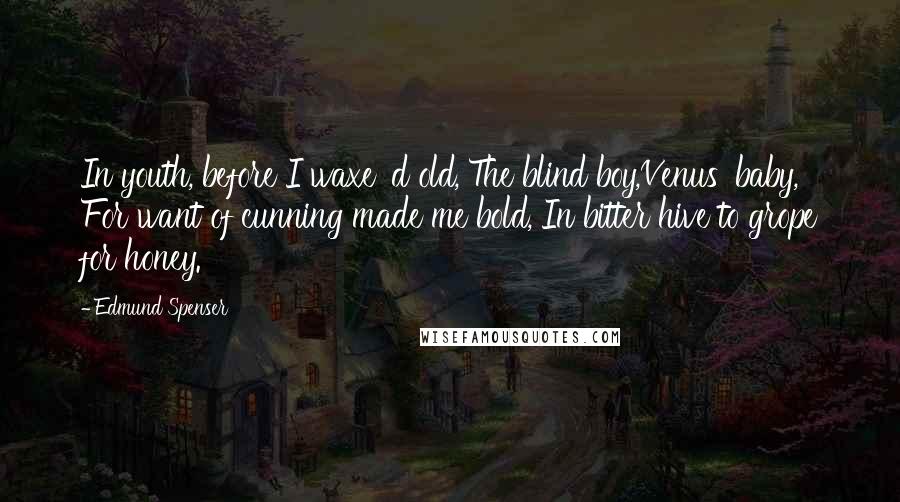 Edmund Spenser Quotes: In youth, before I waxe' d old, The blind boy,Venus' baby, For want of cunning made me bold, In bitter hive to grope for honey.