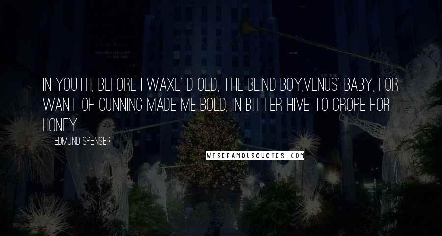 Edmund Spenser Quotes: In youth, before I waxe' d old, The blind boy,Venus' baby, For want of cunning made me bold, In bitter hive to grope for honey.