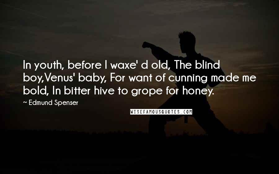 Edmund Spenser Quotes: In youth, before I waxe' d old, The blind boy,Venus' baby, For want of cunning made me bold, In bitter hive to grope for honey.