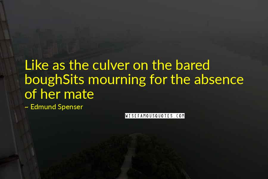 Edmund Spenser Quotes: Like as the culver on the bared boughSits mourning for the absence of her mate