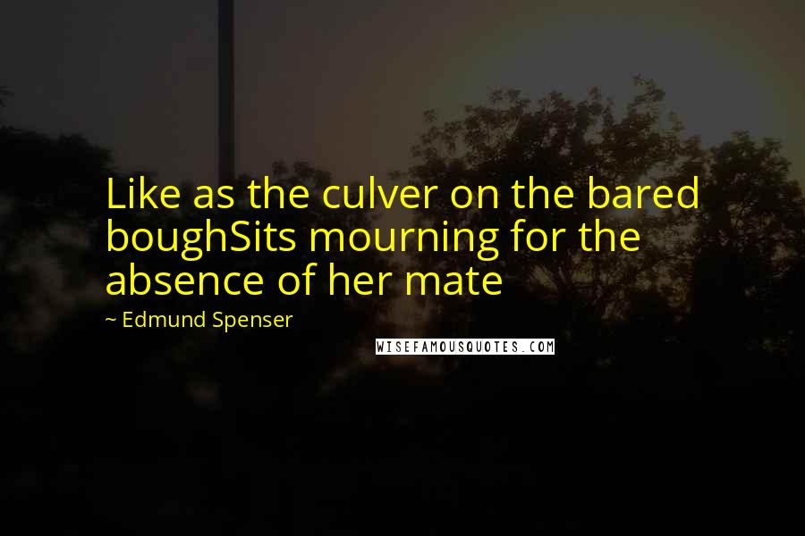 Edmund Spenser Quotes: Like as the culver on the bared boughSits mourning for the absence of her mate