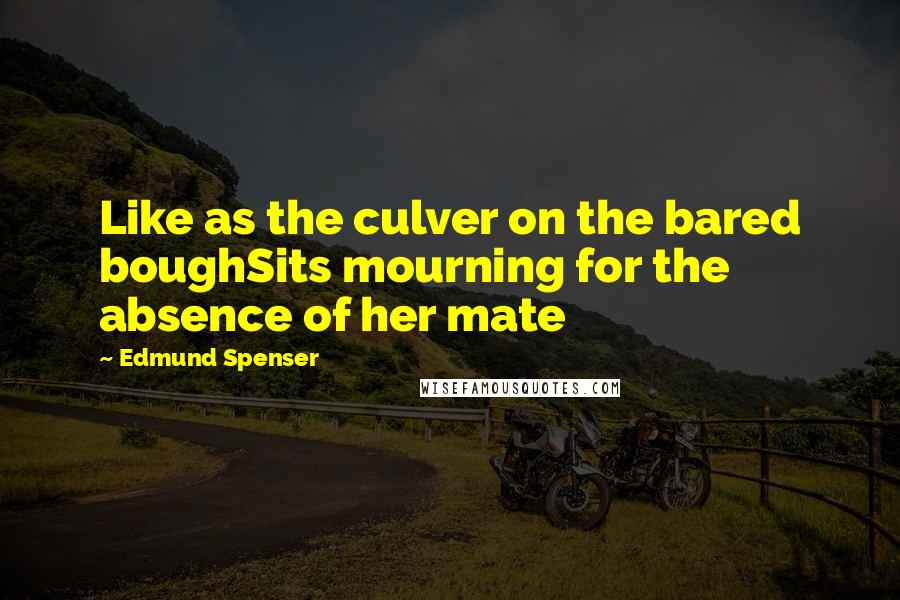 Edmund Spenser Quotes: Like as the culver on the bared boughSits mourning for the absence of her mate