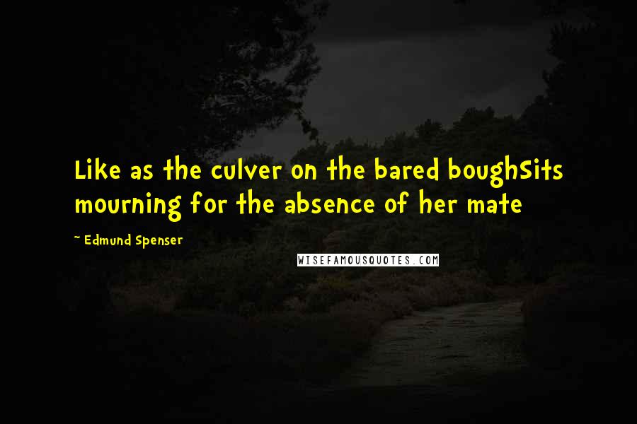 Edmund Spenser Quotes: Like as the culver on the bared boughSits mourning for the absence of her mate