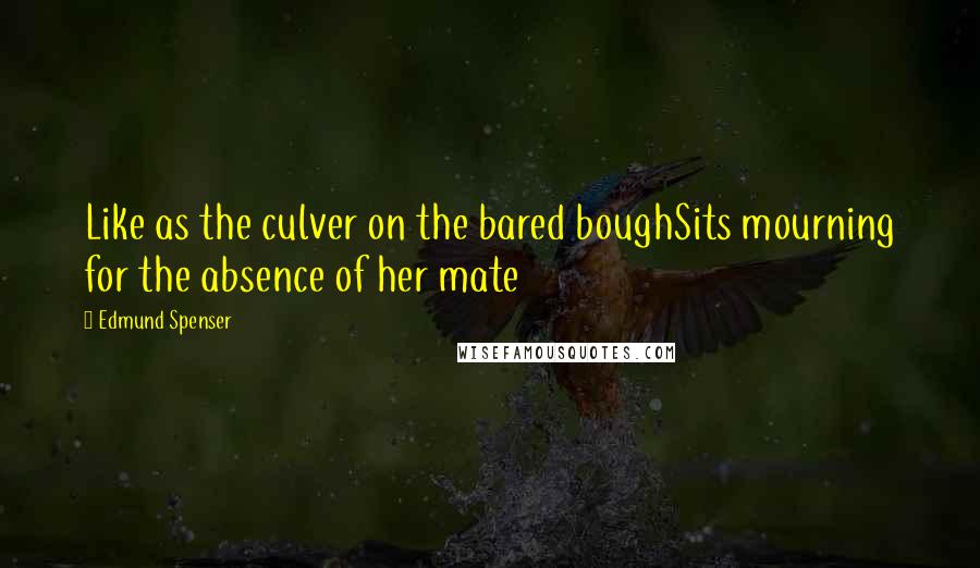 Edmund Spenser Quotes: Like as the culver on the bared boughSits mourning for the absence of her mate