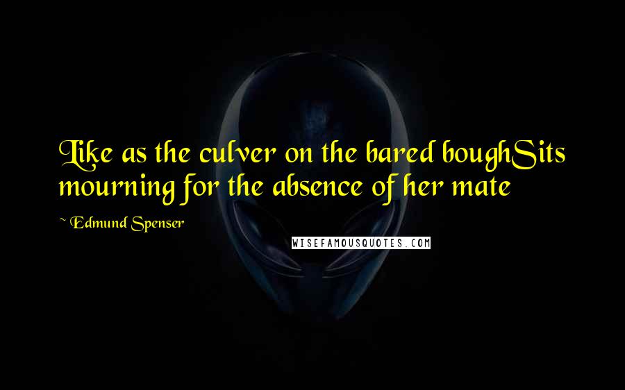 Edmund Spenser Quotes: Like as the culver on the bared boughSits mourning for the absence of her mate