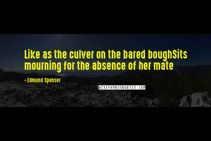 Edmund Spenser Quotes: Like as the culver on the bared boughSits mourning for the absence of her mate