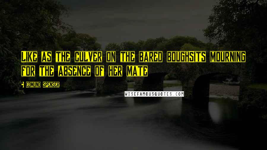 Edmund Spenser Quotes: Like as the culver on the bared boughSits mourning for the absence of her mate