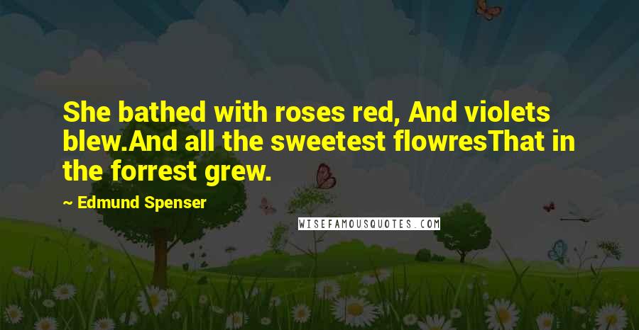 Edmund Spenser Quotes: She bathed with roses red, And violets blew.And all the sweetest flowresThat in the forrest grew.