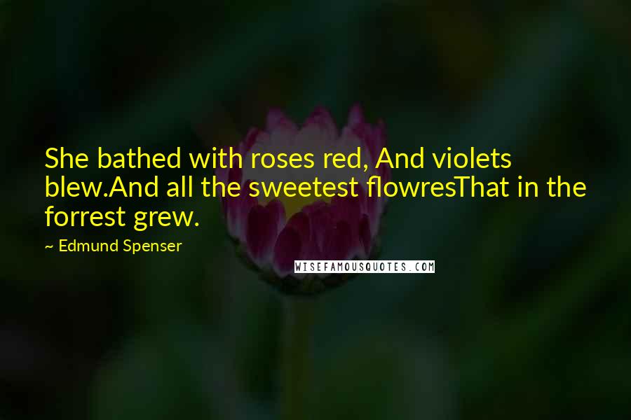 Edmund Spenser Quotes: She bathed with roses red, And violets blew.And all the sweetest flowresThat in the forrest grew.