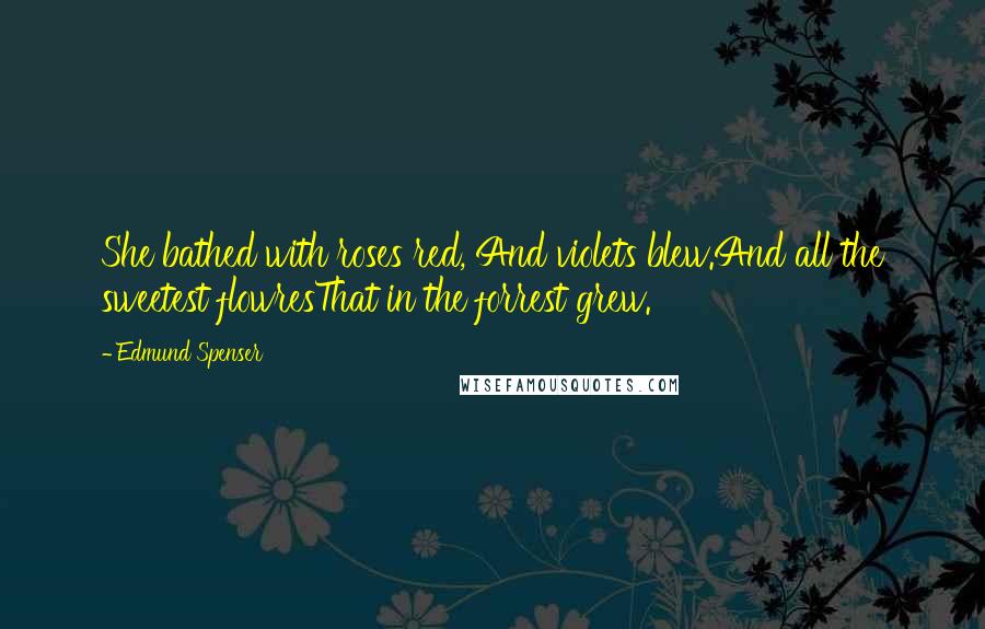 Edmund Spenser Quotes: She bathed with roses red, And violets blew.And all the sweetest flowresThat in the forrest grew.