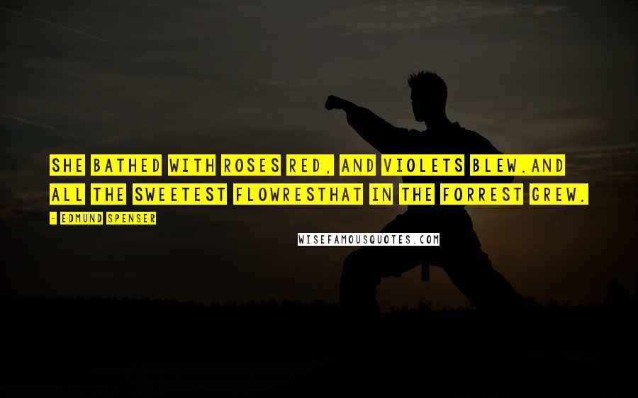 Edmund Spenser Quotes: She bathed with roses red, And violets blew.And all the sweetest flowresThat in the forrest grew.