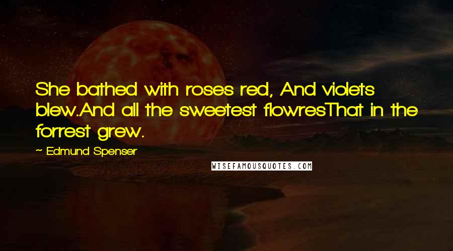 Edmund Spenser Quotes: She bathed with roses red, And violets blew.And all the sweetest flowresThat in the forrest grew.