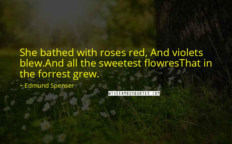 Edmund Spenser Quotes: She bathed with roses red, And violets blew.And all the sweetest flowresThat in the forrest grew.