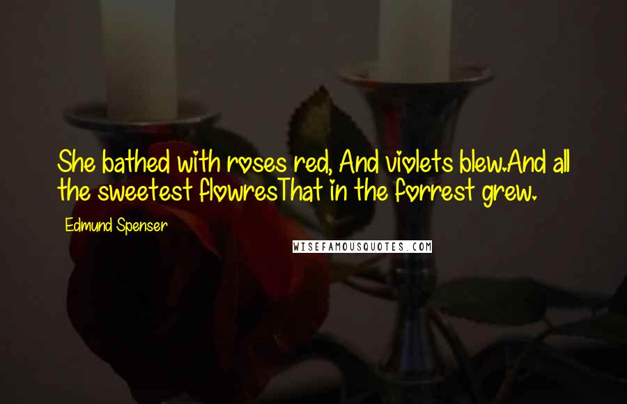 Edmund Spenser Quotes: She bathed with roses red, And violets blew.And all the sweetest flowresThat in the forrest grew.