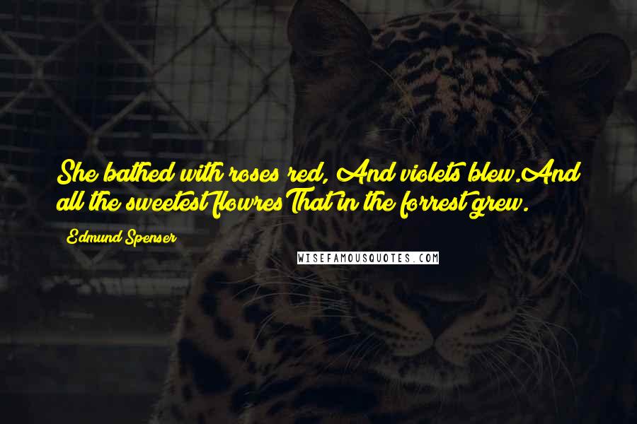 Edmund Spenser Quotes: She bathed with roses red, And violets blew.And all the sweetest flowresThat in the forrest grew.