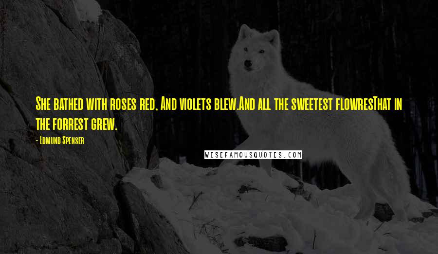 Edmund Spenser Quotes: She bathed with roses red, And violets blew.And all the sweetest flowresThat in the forrest grew.