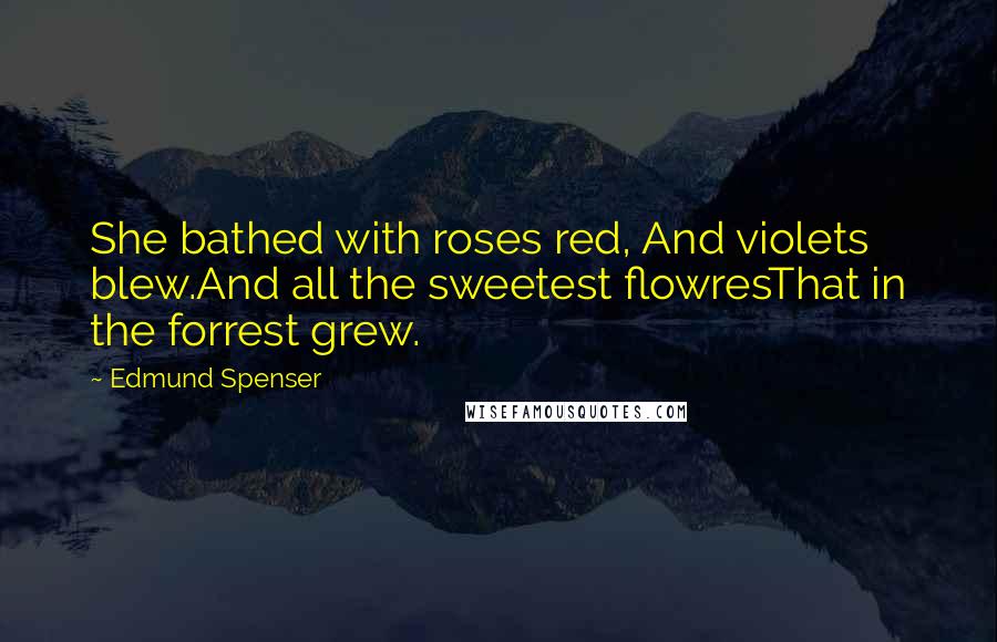 Edmund Spenser Quotes: She bathed with roses red, And violets blew.And all the sweetest flowresThat in the forrest grew.