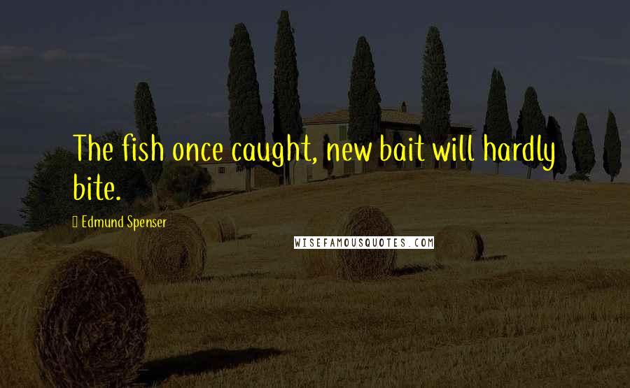 Edmund Spenser Quotes: The fish once caught, new bait will hardly bite.