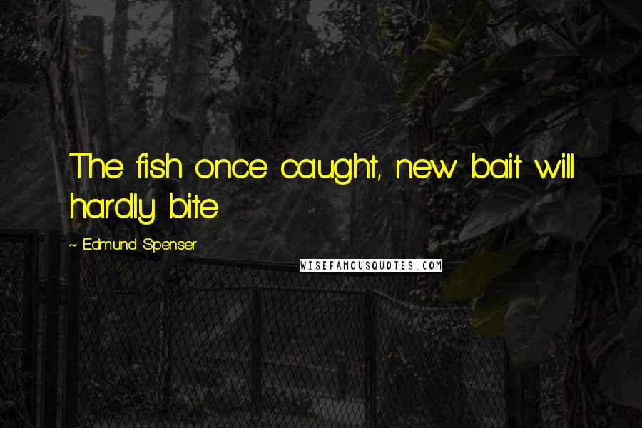 Edmund Spenser Quotes: The fish once caught, new bait will hardly bite.