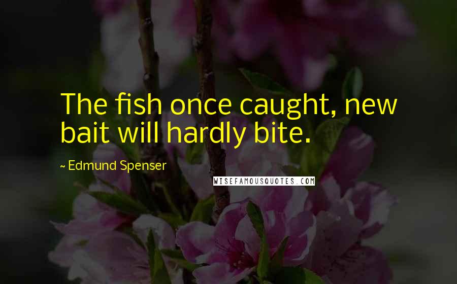 Edmund Spenser Quotes: The fish once caught, new bait will hardly bite.