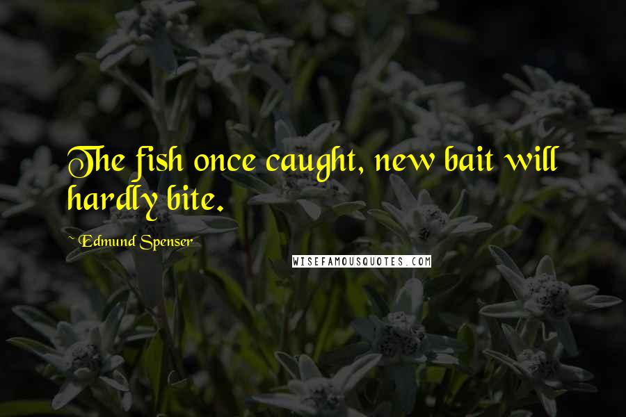 Edmund Spenser Quotes: The fish once caught, new bait will hardly bite.