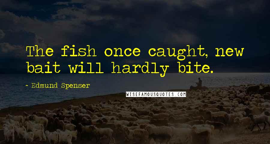 Edmund Spenser Quotes: The fish once caught, new bait will hardly bite.