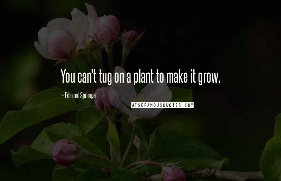 Edmund Sprunger Quotes: You can't tug on a plant to make it grow.