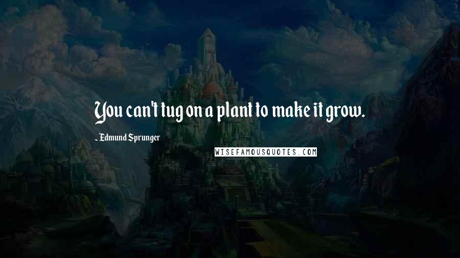 Edmund Sprunger Quotes: You can't tug on a plant to make it grow.