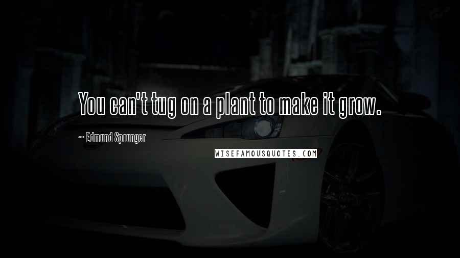 Edmund Sprunger Quotes: You can't tug on a plant to make it grow.