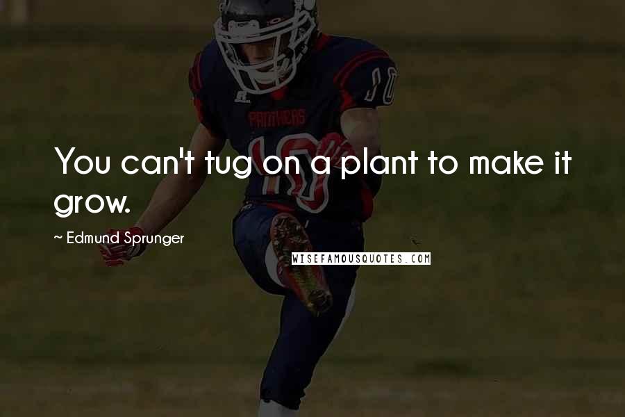 Edmund Sprunger Quotes: You can't tug on a plant to make it grow.